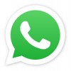 Bulk Whatsapp